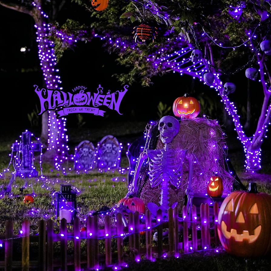 Halloween Night リゼ SP RECESKY 2Pack 20 LED Purple Spider String Lights with Timer